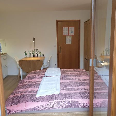 Apartmaji Pri Medvedu Studio Rudnica Bohinj Exteriör bild