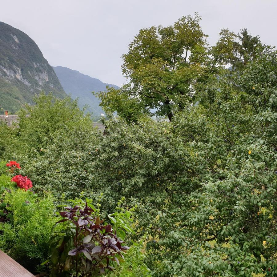 Apartmaji Pri Medvedu Studio Rudnica Bohinj Exteriör bild